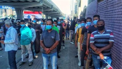 إقبال كثيف على انتخابات مجلس الشيوخ في القاهرة والجيزة | صور