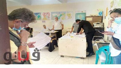 مراقبون دوليون لمتابعة الانتخابات بالإسماعيلية | صور