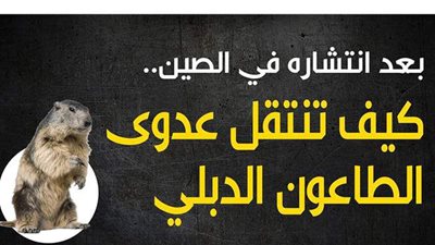 بعد انتشاره في الصين .. كيف تنتقل عدوى الطاعون الدبلي | إنفو جراف