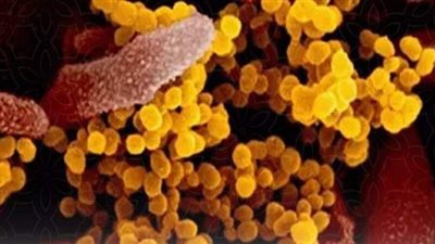 القليوبية تسجل 22 إصابة جديدة بفيروس كورونا