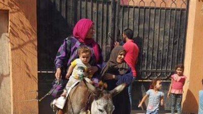 عجوز  تدلي بصوتها على حمار في طوخ:  