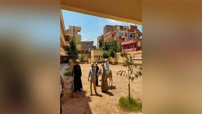 ناخب بالغربية يدخل اللجنة على حمار للمشاركة في الانتخابات