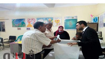 لحظة عملية فرز أصوات الناخبين باللجان الفرعية في الإسماعيلية | فيديو