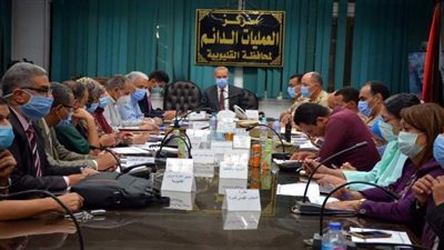 324 ألفًا 227 ناخبًا وناخبة أدلوا بأصواتهم في انتخابات الشيوخ بالقليوبية