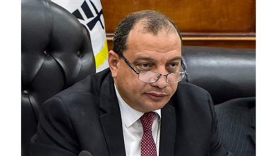 الأعلى للجامعات يوافق على إنشاء برنامج الجيولوجية الهندسية بكلية علوم الأرض ببني سويف