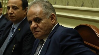 برلماني يطالب بالاستفادة من تجربة إندونيسيا في زراعة الأرز