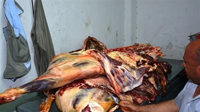 ضبط صاحب ثلاجة بحوزته نصف طن لحوم فاسدة في شبرا الخيمة