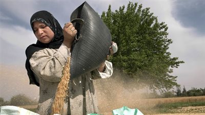 11 سؤالا وجوابا حول طبيعة عمل «الرائدات الريفيات»..التوعية بالأمراض وحملات التطعيم والمسوح السكانية.. 14 ألف رائدة بالمحافظات.. 300 مليون جنيه رواتبهن.. واختيارهن أفضل برنامج باجتماع وزراء ا