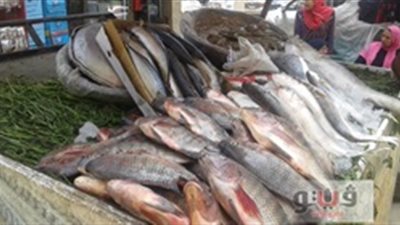 «البلطي» يسجل 26 جنيها بسوق المريوطية