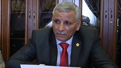 برلماني: مشروعات قوانين الفترة المقبلة لتجريم الاعتداء على أراضي الدولة