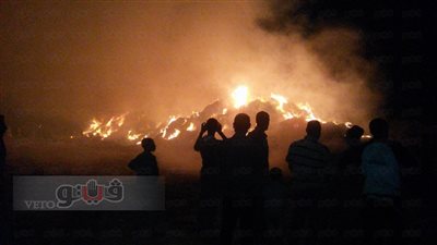 بالفيديو والصور.. السيطرة على حريق في تجمعات قش الأرز بالشرقية