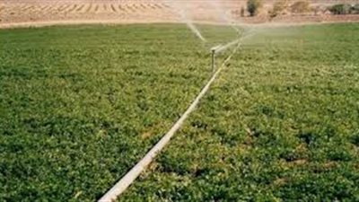 «الزراعة» تطرح 97 قطعة أرض للاستصلاح في شمال سيناء بالمزاد