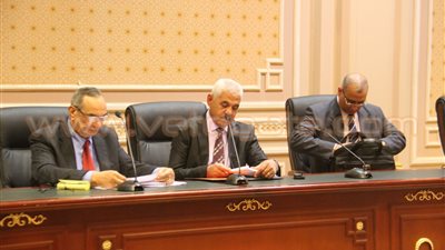 رئيس «دفاع بالنواب»: المشكلة السكانية لا تقل خطورة عن الإرهاب