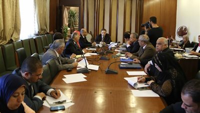 عربية النواب لـ«الفلسطينيين»: «العرب خلفكم وحقوقكم لن تضيع»