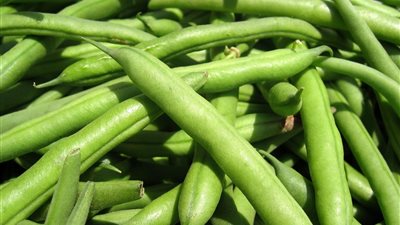 الفاصوليا تسجل 13 جنيها بسوق العبور