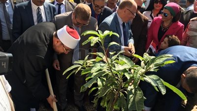 جمعة والنمنم ومحافظ الإسماعيلية يزرعون أشجارا بمنطقة الغابة
