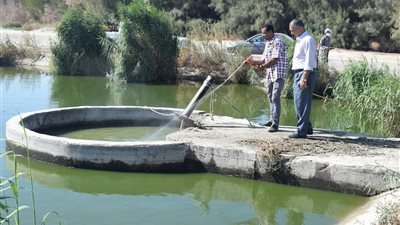 بالصور.. رش الغابة الشجرية ومحطة الصرف في الغردقة بالمبيدات