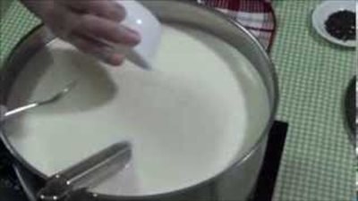 بالفيديو.. طريقة عمل الجبنة الرومي في البيت
