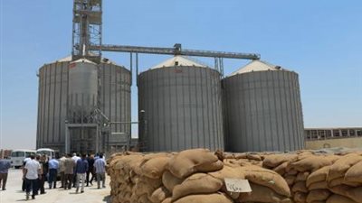 «تموين كفر الشيخ»: توريد القمح تخطى التوقعات