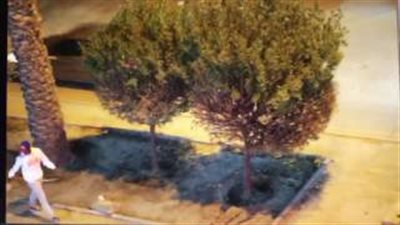 بالفيديو والصور.. القبض على لصوص يسرقون سائقي السيارات بالرياض