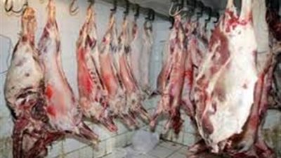 ضبط 2030 كيلو لحوم منتهية الصلاحية في مصنع بمدينة 15 مايو بالشرقية