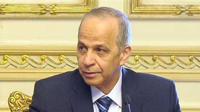 محافظ الوادي الجديد يلتقي نبيلة مكرم والصياد لاستعراض فرص الاستثمار