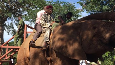 جولة لـ«عيسى حياتو» على ظهر فيل بزامبيا قبل انتخابات الكاف