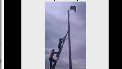 بالفيديو.. إنقاذ متهور تعلق بأسلاك كهربائية رافضا تركها