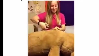 بالفيديو.. شاهد ما فعلته فتاة بـ«هدية» حبيبها السابق