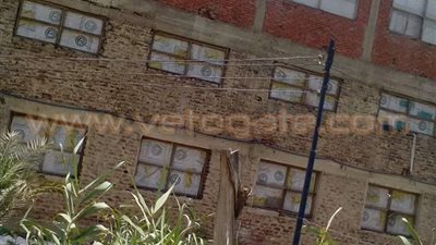 حملة لـ«الطب البيطري» بمزارع الدواجن في الدقهلية