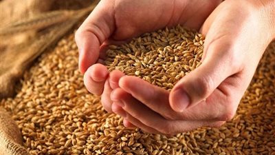 بالمستندات..«تقصي حقائق النواب» تنتهي من تقرير فساد القمح.. يكشف فسادًا بـ560 مليون جنيه  بعد زيارة 12 شونة وصومعة.. مجدي ملك: اللجنة الأهم في تاريخ البرلمان.. هيئة مكتب المجلس تحدد موعد الم