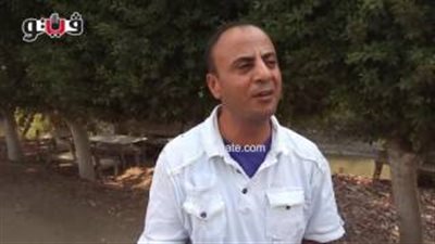 بالفيديو.. غضب بين المواطنين بالغربية بسبب حرق قش الأرز