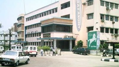 قروض ميسرة لشباب الشرقية