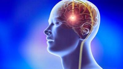 دراسة: المخ يساهم في قتل البكتيريا