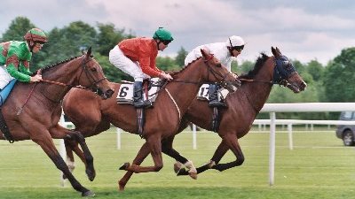 تمصير الإشراف على سباق الخيل في مصر عام 1952