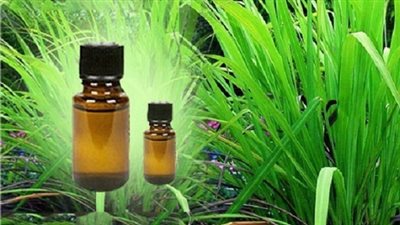 زيت «البالما» لتفتيح البشرة ومكافحة الفيروسات