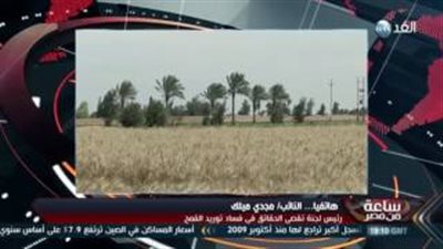 «تقصي الحقائق»: الإعلان عن أسماء المتورطين في فساد القمح قريبًا