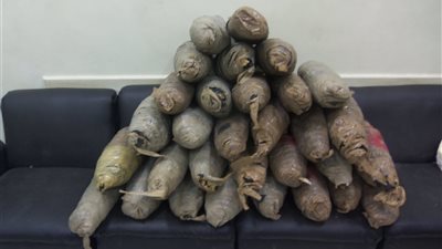 ضبط مخدرات بحوزة عاطل بالعريش