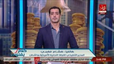 بالفيديو.. «الغرف التجارية»: أمريكا تساند مصر اقتصاديا خلال أيام