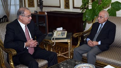 فاروق الباز: طرح 500 ألف فدان أحد أهم المشروعات التنموية