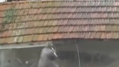 بالفيديو.. غباء رجل يتسبب في هدم منزله