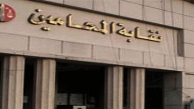 رابطة محامى الخارج: لسنا طرفا في خصومة وملتزمون بمسارنا القانوني