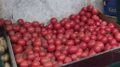 تباين أسعار الخضراوات اليوم.. والطماطم بـ5.5 جنيهات جملة
