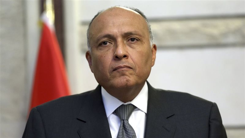 سامح شكرى وزير الخارجية