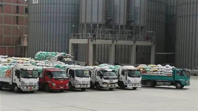 توريد 308 ألف و211 طن قمح لصوامع وشون الشرقية