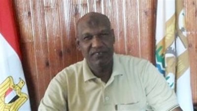 الوادي الجديد تجهز 15 شاشة عرض لنهائي أمم أفريقيا