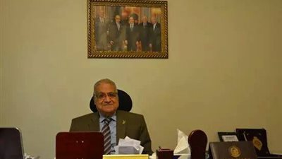 «حماة مصر»: نخوض انتخابات المحليات ضمن ائتلاف «دعم مصر»