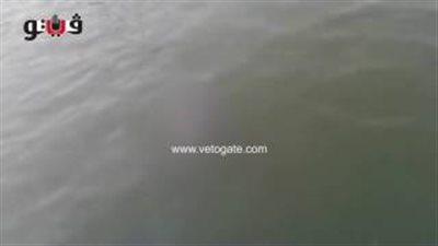 بالفيديو.. لحظة العثور على نصف جثة بـ«ترعة السعيدية» في الشرقية