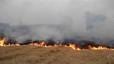 «البيئة» تواصل مكافحة ظاهرة السحابة السوداء.. تجميع وتدوير 325 ألف طن من قش الأرز.. تحرير 10 آلاف محضر.. التفتيش على 3000 منشأة صناعية.. وعقد 483 ندوة إعلامية