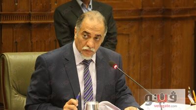 تضامن النواب: نقص موازنة «القومي للمرأة» لن ينعكس على الأجور